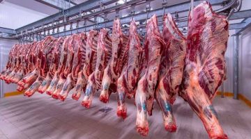 “قبل عيد الأضحى”.. مفاجأة في أسعار اللحوم اليوم الأربعاء 21 يونيو 2023 في محلات الجزارة تكشف عنها شعبة القصابين