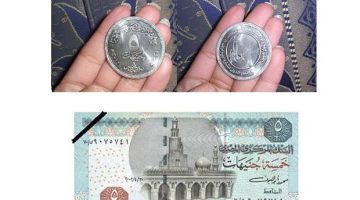 «حقيقة أم إشاعة»….هل يصدر البنك المركزي المصري 5 جنيهات بلاستيك؟… خبير يوضح 
