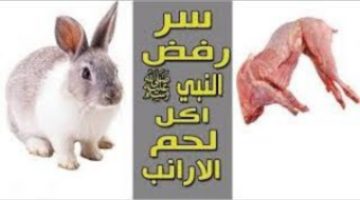 معلومة هامة ستثير دهشتك! . لماذا رفض سيدنا محمد أن يأكل لحم الأرنب رغم أنه ليس محرما؟!.. اعرف الإجابة حالا
