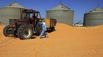 مجلس النواب يوافق على تطوير سعات تخزين صوامع القمح بمنحه قدرها 56.7 مليون يورو