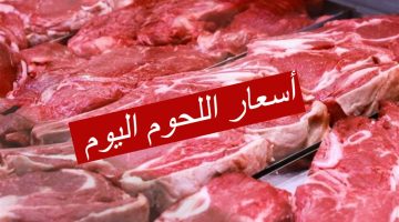 “اللحمة بكام النهاردة” أسعار اللحوم اليوم 27 فبراير في الأسواق ومنافذ وزارة الزراعة