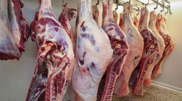 مفاجأة سارة في أسعار اللحوم بالأسواق عقب قرار الحكومة خلال الفترة القادمة .. التفاصيل