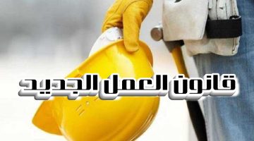 قانون العمل الجديد في مصر.. تفاصيل العلاوة السنوية وتدريب ذوي الهمم