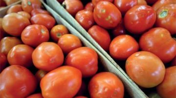 انتبه قبل فوات الآوان!! .. وزاره الزراعة تحذر من شراء هذا النوع من الطماطم تسبب في وفاة عائلة كاملة..