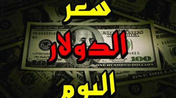 شوفي الأمريكي وصل لكام!! سعر الدولار اليوم مقابل الجنيه المصري في البنوك المصرية 16-3-2024
