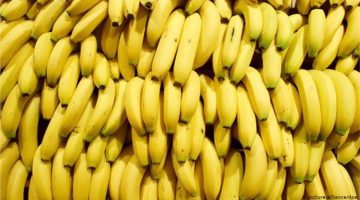 بتاكل عيالك  سم … عالم يحذر من تناول الموز في هذا التوقيت يدمر الكلى والمناعة