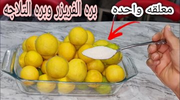 ضاع عمرنا بنخزن الليمون غلط.. ملعقة واحدة لتخزين الليمون من السنة للسنة بدون تغيير في اللون أو الطعم