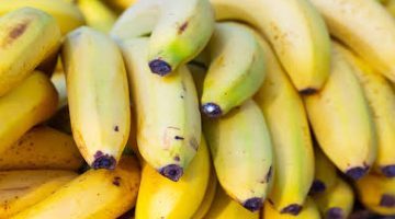«احذروا بسرعة قبل فوات الأوان».. عالمان يكشفان عن مفاجأه بشأن “خطورة أكل الموز”.. توقف عنه فوراً قبل ما تندم!!
