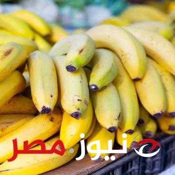 "خطر قاتل يهدد حياتك وحياة أسرتك".. احذر من تناول الموز في خطورة على صحتك.. عالمان يكشفان عن مفاجأة خطيرة بشأن الموز!!