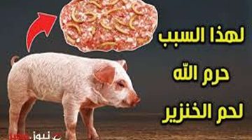حقيقة صدمت الملايين” … هل تعلم سبب خلق الله الخنزير ولماذا تم تحريم أكله ؟! الإجابة لم تخطر على بالك من قبل