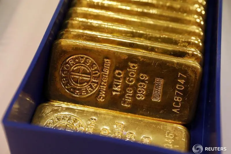 قرار عاجل من الحكومة بخصوص صناديق الاستثمار في الذهب