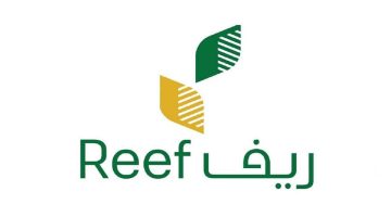 برقم الهوية.. استعلام عن دعم ريف 1445 السعودية وشروط التسجيل reef.gov.sa