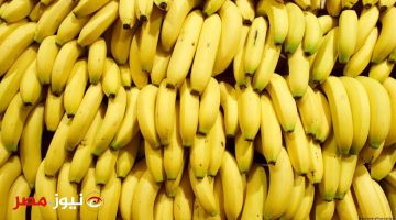 “خطر قاتل يهدد حياتك وحياة أسرتك”.. احذر من تناول الموز في خطورة على صحتك.. عالمان يكشفان عن مفاجأة خطيرة بشأن الموز!!