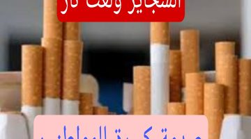 نبطل سجائر أحسن .. بيان هام من الشرقية للدخان حول اسعار السجائر اليوم الخميس 18-4 في مصر