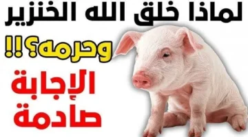 ما السبب وراء تحريم الله أكل لحم ” الخنزير ” على البشر ؟ .. معلومات لأول مرة تعرفها !!