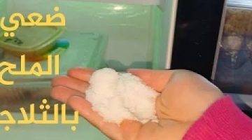 فكرة جهنمية.. ضعي الملح في الثلاجة حيلة ذكية قالها  فني تصليح الثلاجات