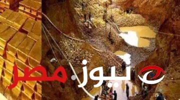 «هتبقى أغنى أغنياء العالم »...حفريات عشوائية تم اكتشافها في مصر ..هتغير مصير حياتك!!؟