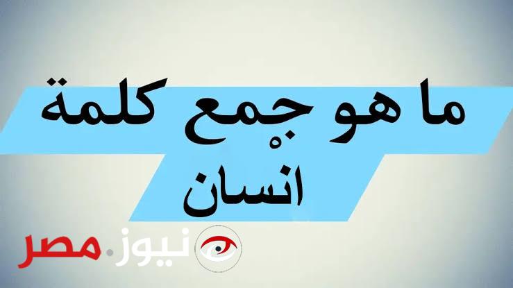%2 اللي يعرفها.. ما هو جمع كلمة «انسان» في اللغة العربية؟.. إجابة السؤال مش متوقعه