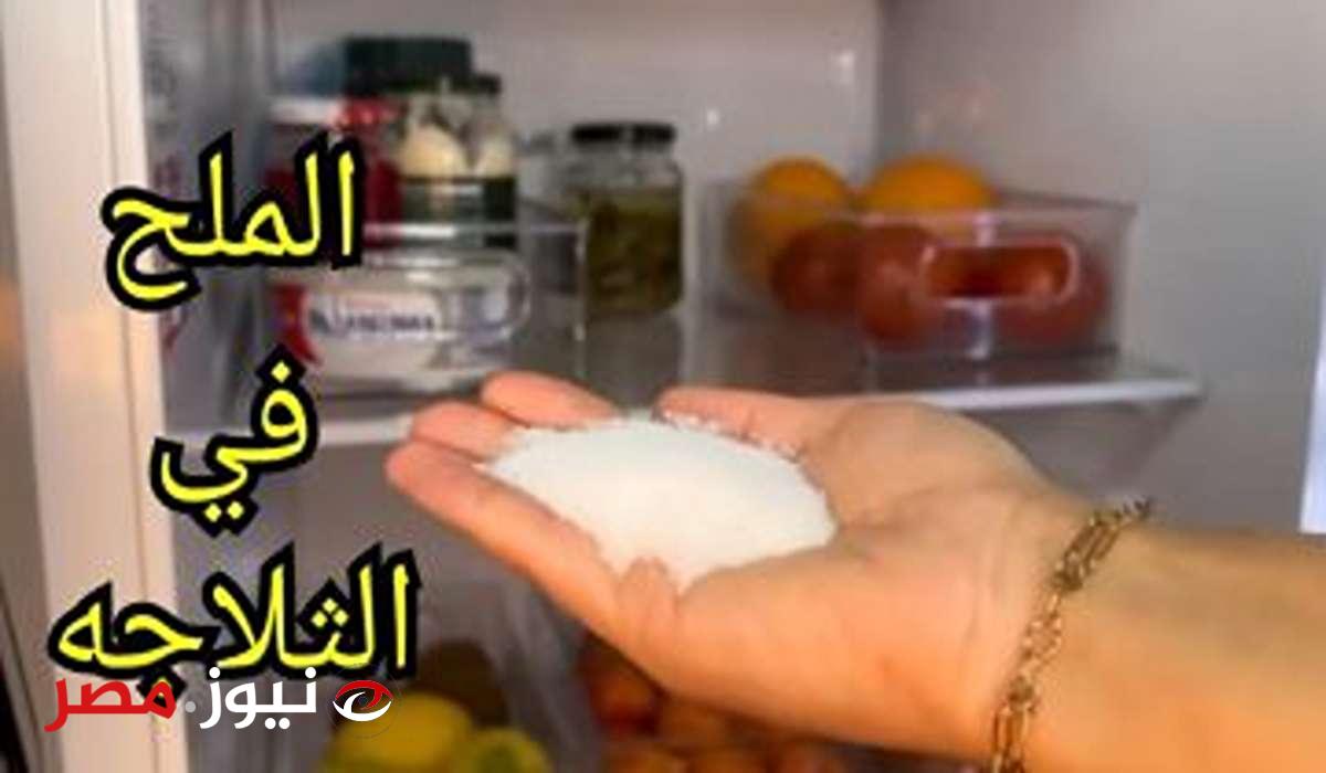حيلة عبقرية لاستخدام الملح في الثلاجة