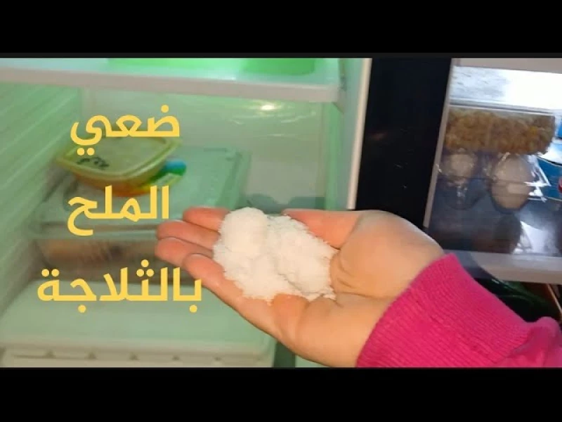 حيلة عبقرية لاستخدام الملح في الثلاجة