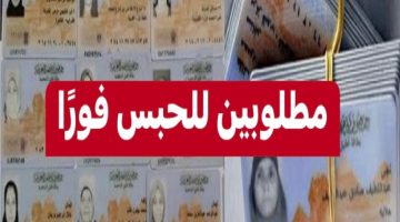 عشان متقولش معرفش غرامة 1000 جنيه فورًا .. عقوبات بطاقات الرقم القومي لهؤلاء المواطنين.. أوعي تكون منهم !!