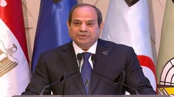السيسي: مصر حذرت من تبعات الحرب السياسية والإنسانية على الأشقاء في فلسطين