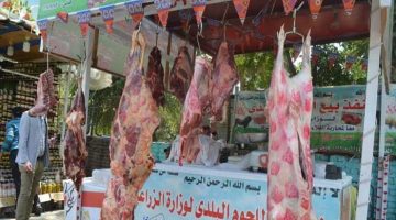بأسعار مفاجأة.. تخفيضات كبيرة بأسعار اللحوم في منافذ وزارة الزراعة| أقل من السوق بـ170 جنيهاً