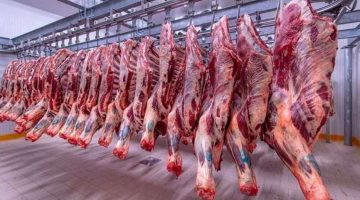 بشرى للمواطنين بشأن أسعار اللحوم في مصر قبل عيد الأضحى