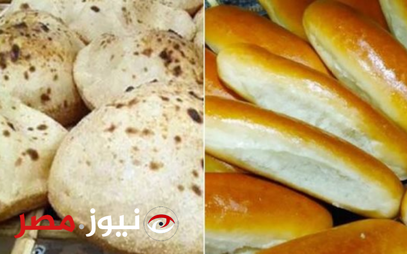 تبدأ من 50 قرشًا.. أسعار رغيف الخبز السياحي والفينو الجديدة أمام وزير التموين