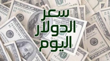 بعد التراجع الأخير.. سعر الدولار أمام الجنيه اليوم الجمعة 19 أبريل 2024 بيع وشراء
