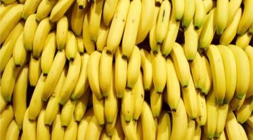 سم قاتل .. عالم يحذر من خطورة تناول ” الموز ” في هذا الوقت من اليوم .. تعرف عليه وتجنبه !!