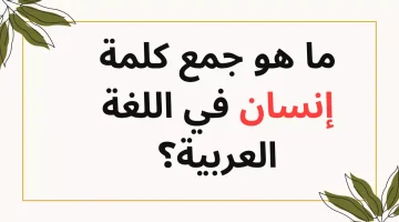 2% اللي  يعرفها».. ما هو جمع كلمة «انسان» في اللغة العربية؟.. إجابة السؤال مش متوقعه
