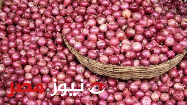 نزل 45 جنيها.. رسالة عاجلة من الفلاحين للإعلامي أحمد موسى بشأن البصل